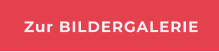 Zur BILDERGALERIE