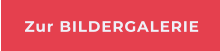 Zur BILDERGALERIE
