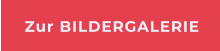 Zur BILDERGALERIE