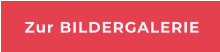 Zur BILDERGALERIE