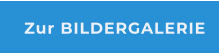 Zur BILDERGALERIE