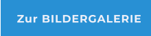 Zur BILDERGALERIE