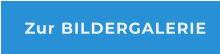 Zur BILDERGALERIE