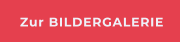 Zur BILDERGALERIE