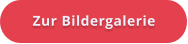 Zur Bildergalerie