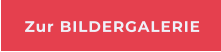 Zur BILDERGALERIE