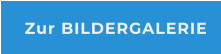 Zur BILDERGALERIE