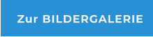 Zur BILDERGALERIE